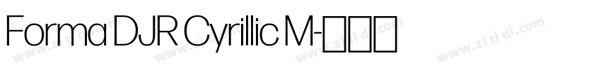 Forma DJR Cyrillic M字体转换